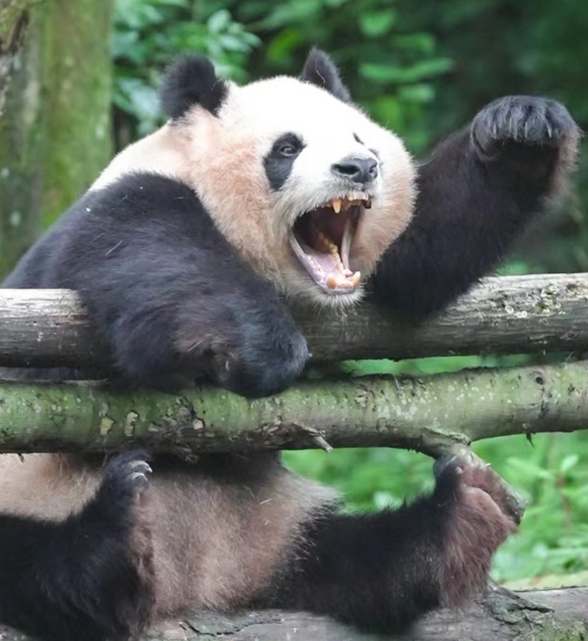 冲啊,为了业绩!