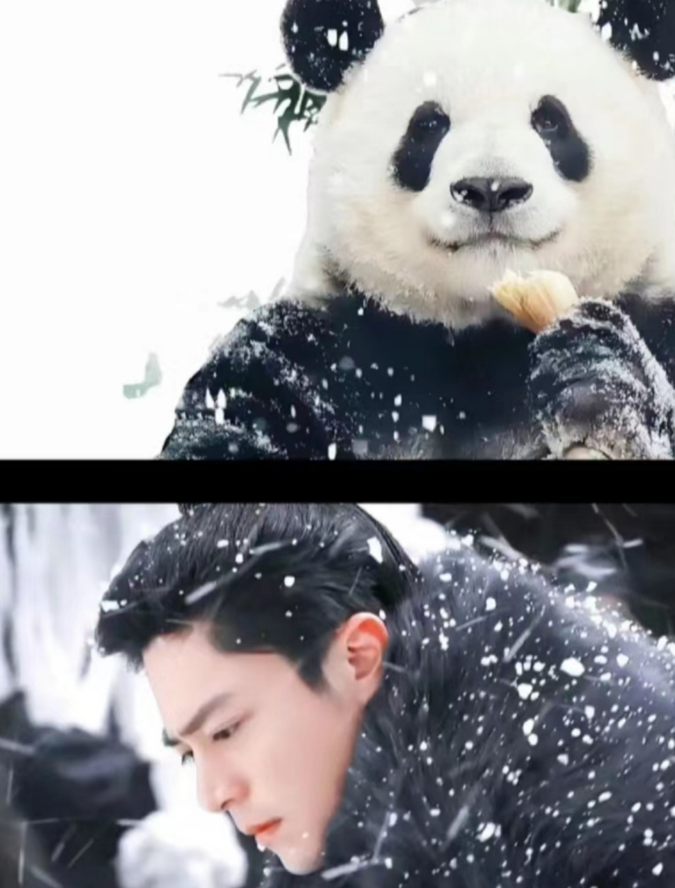 萌兰,熊皮底下肯定是一个大帅哥!