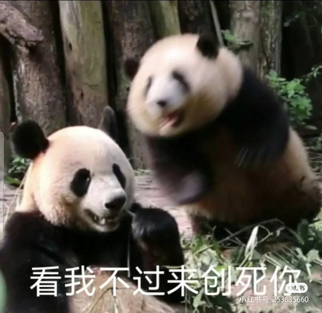 大熊猫# #大熊猫和花和叶