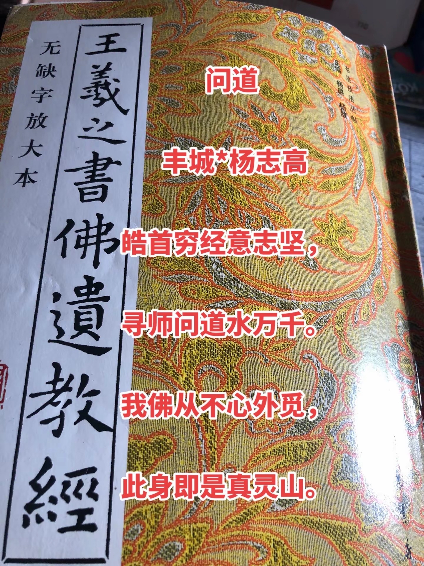 皓首穷经图片