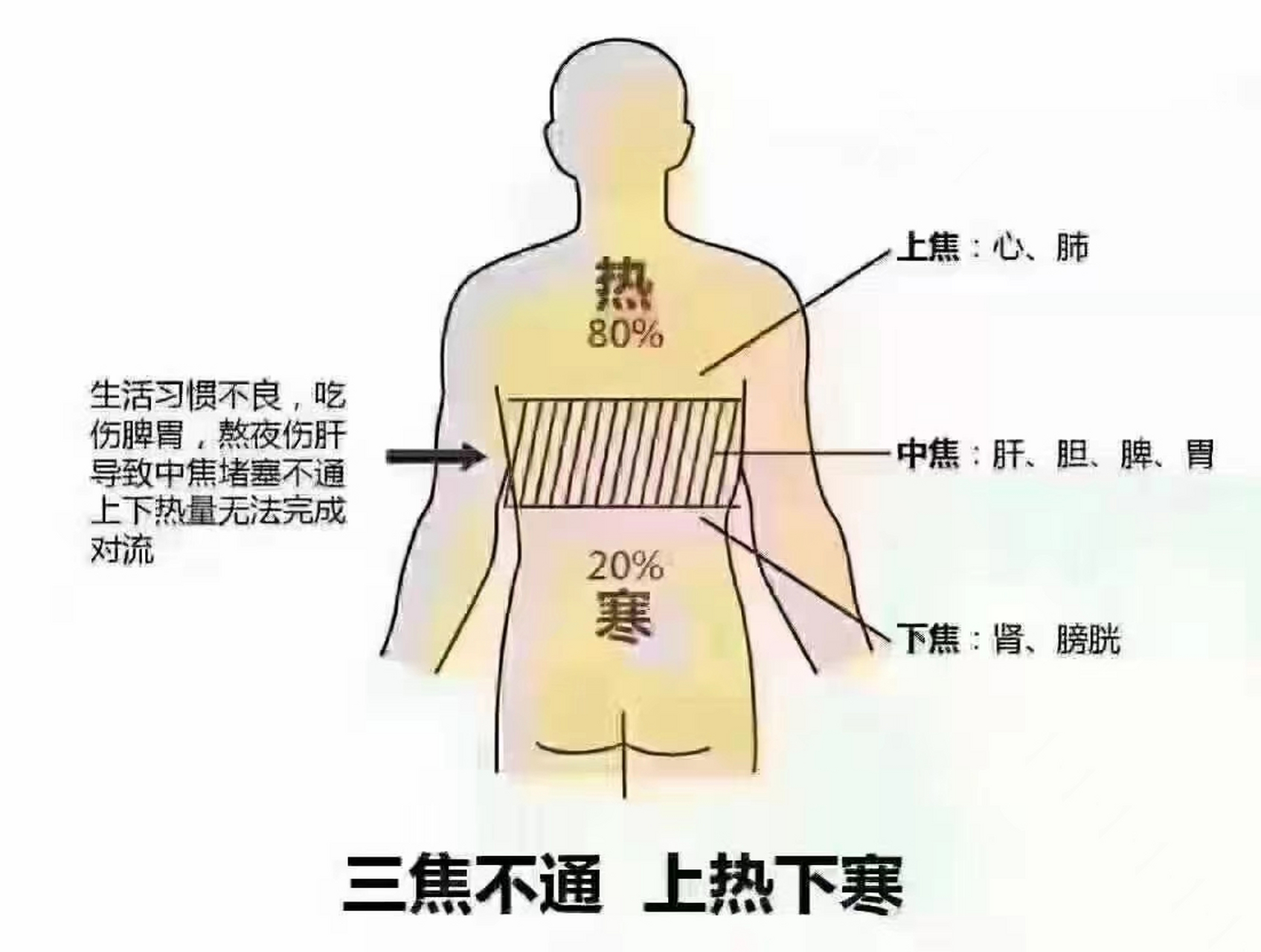 揉腹的好处多 把中焦的郁滞,涩涩的痛点和结节揉开来 六腑通畅,五脏