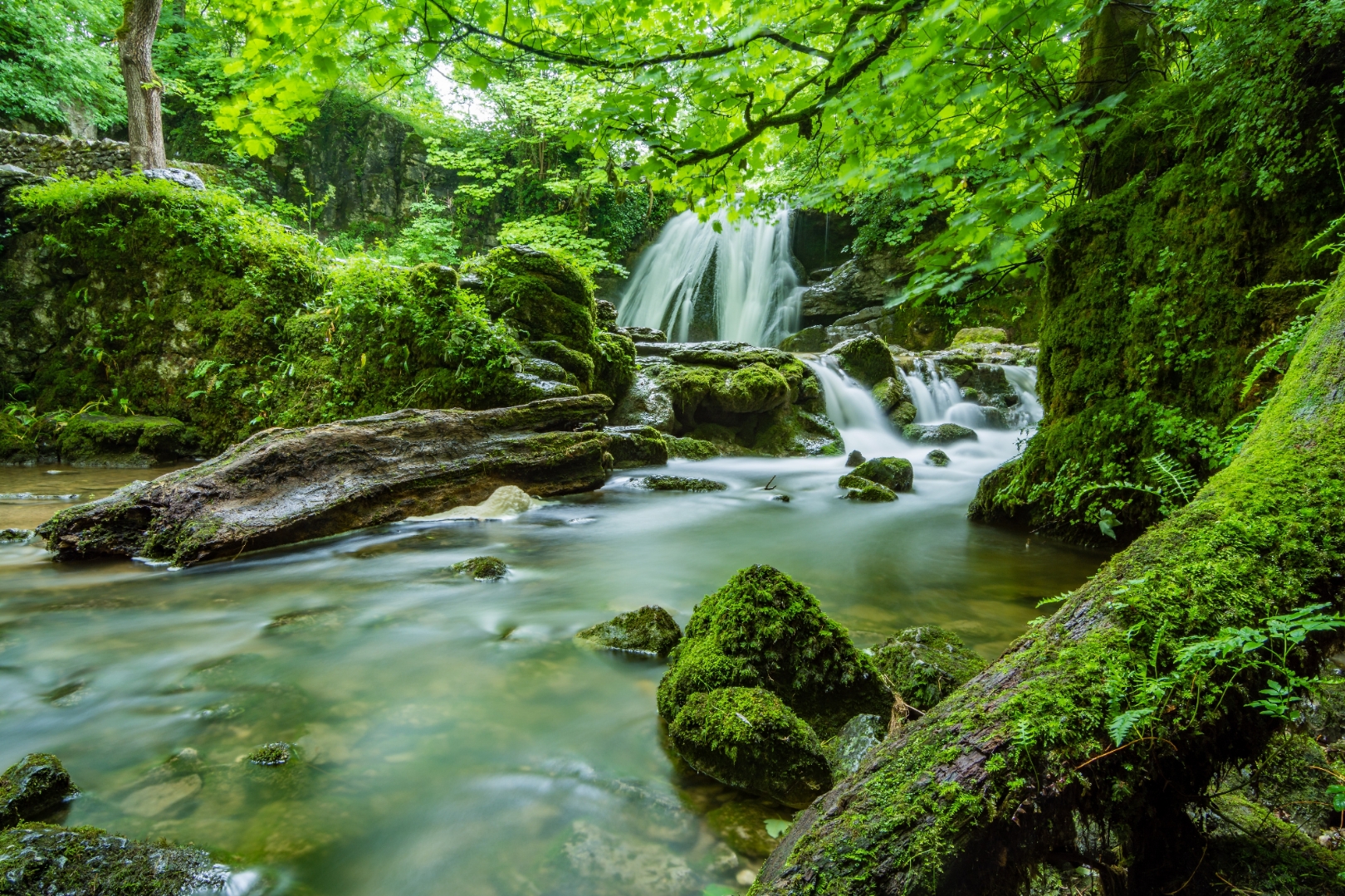 森林山水美术学校图片