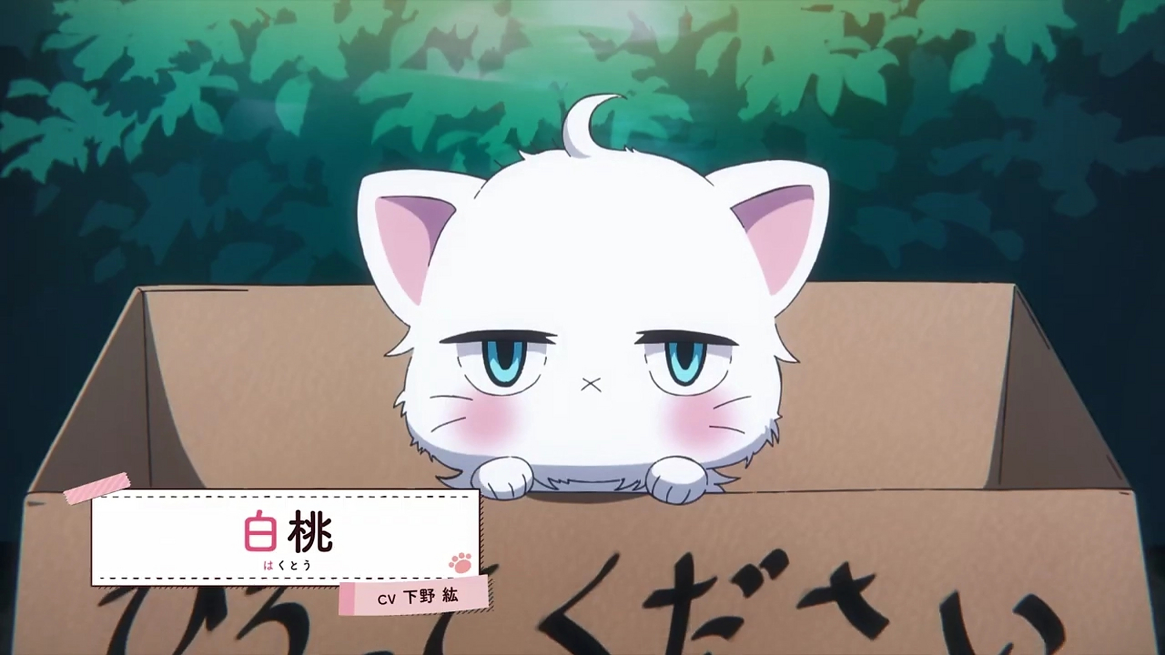 【我的新上司是天然呆】tv动画化!#动漫资讯# #动漫