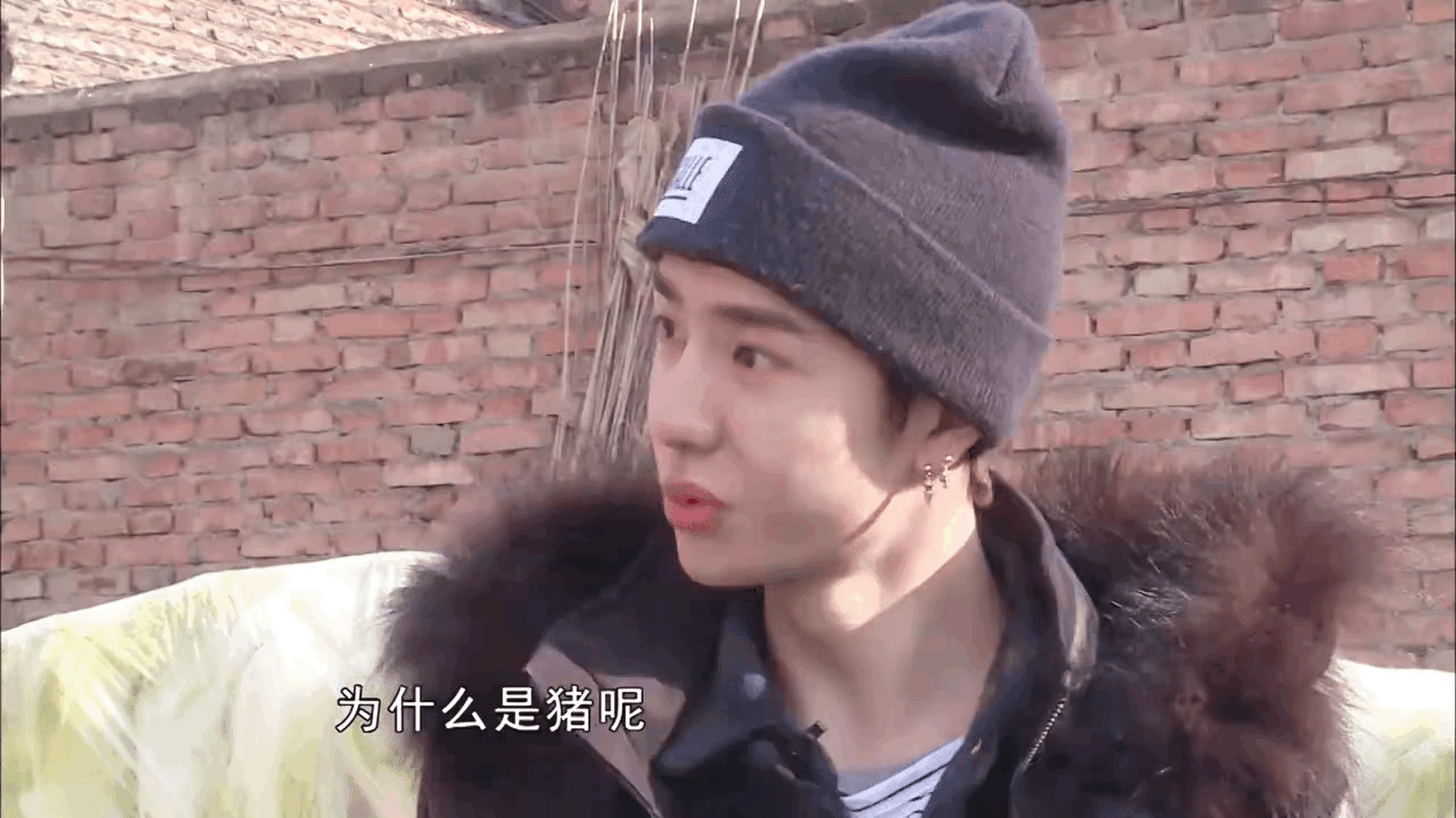 王一博:为什么是猪呢?