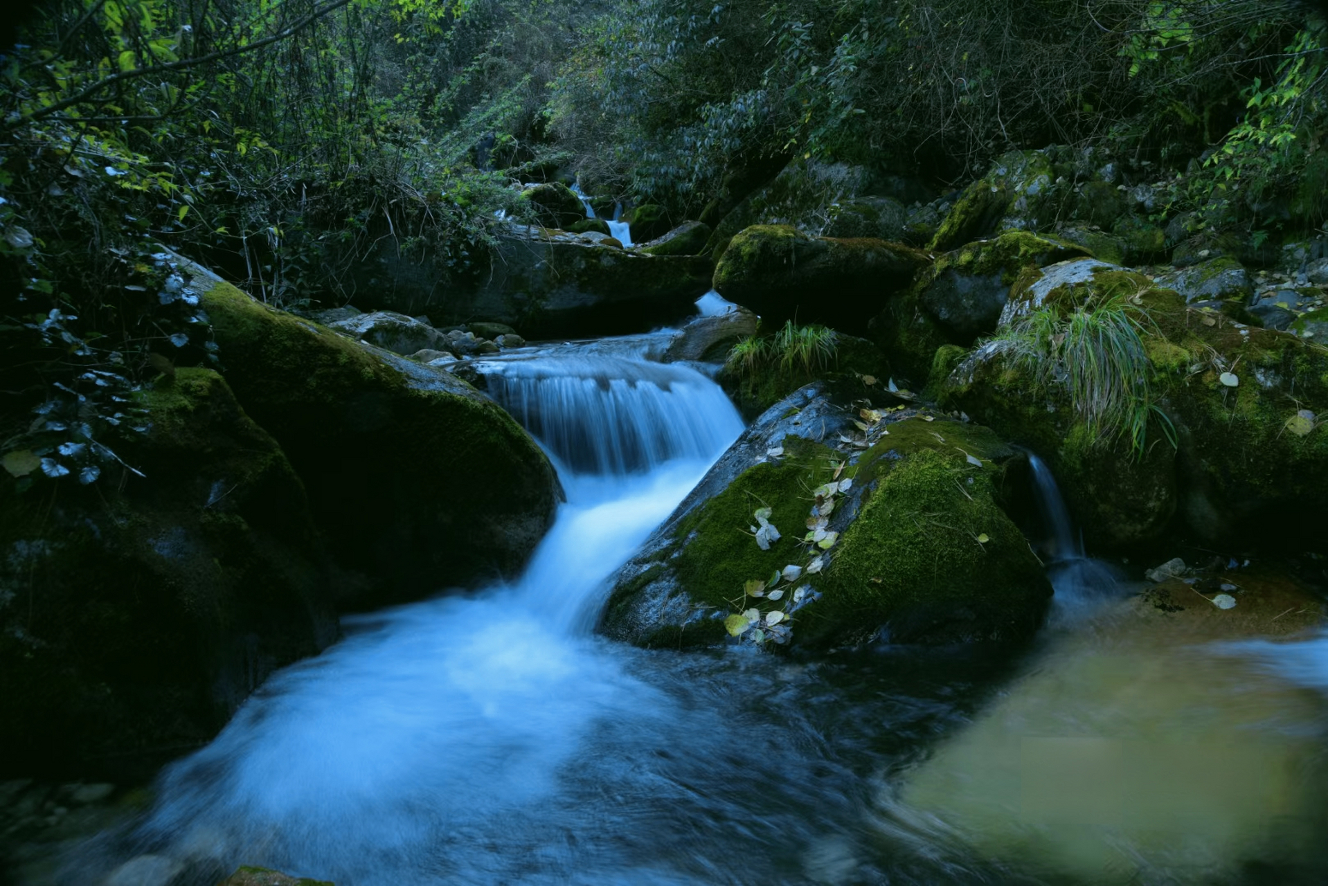 大理苍山十九峰十八溪之莫残溪,溪水清幽,令人心旷神怡!