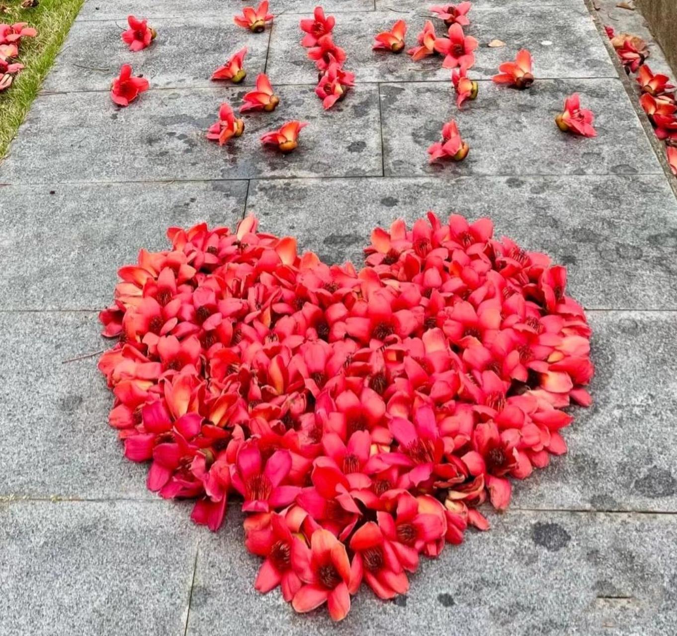 刘力纲隶书作品《蘭风梅骨61剑胆琴心》