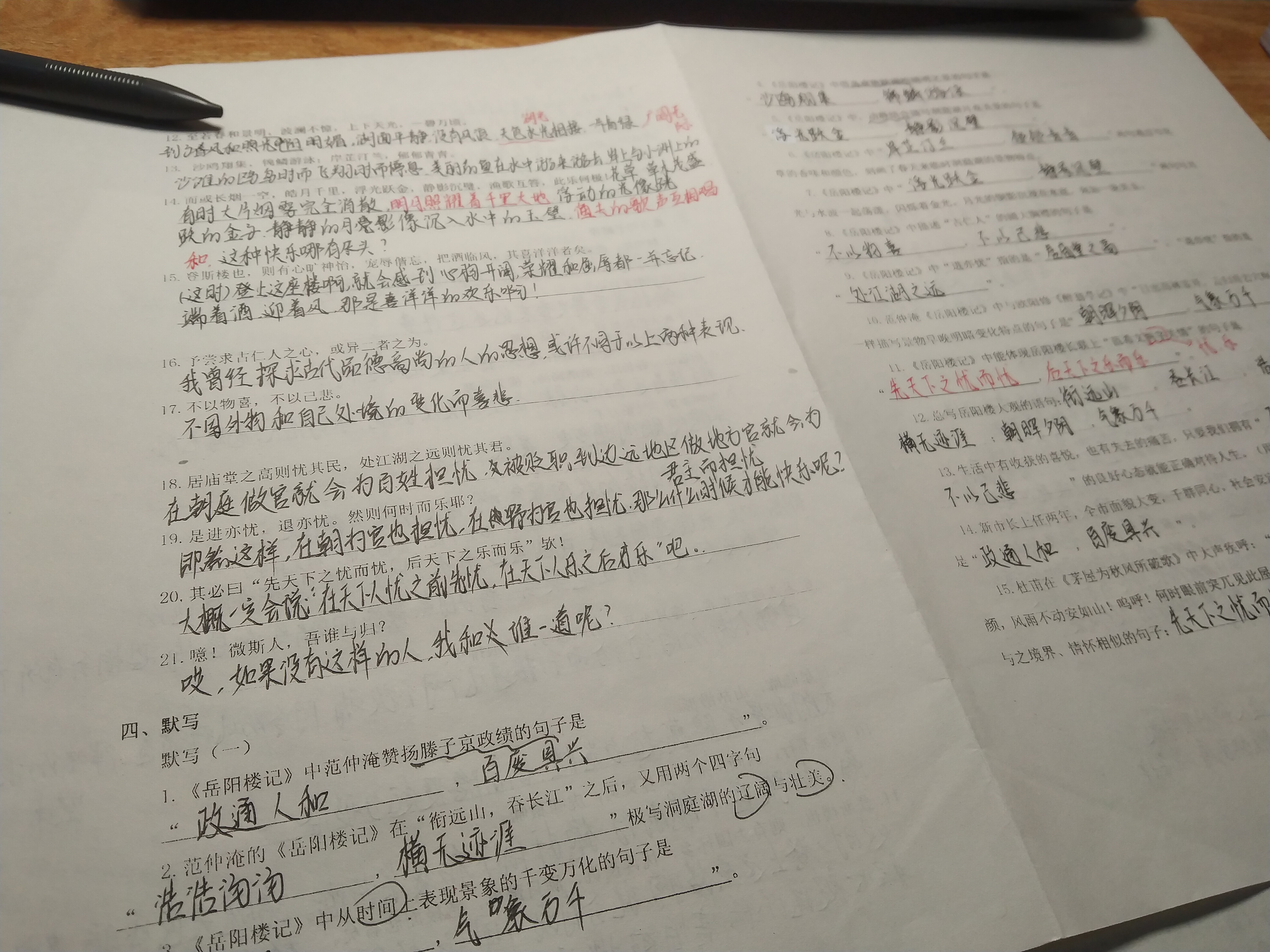 语文作业终于写完了!