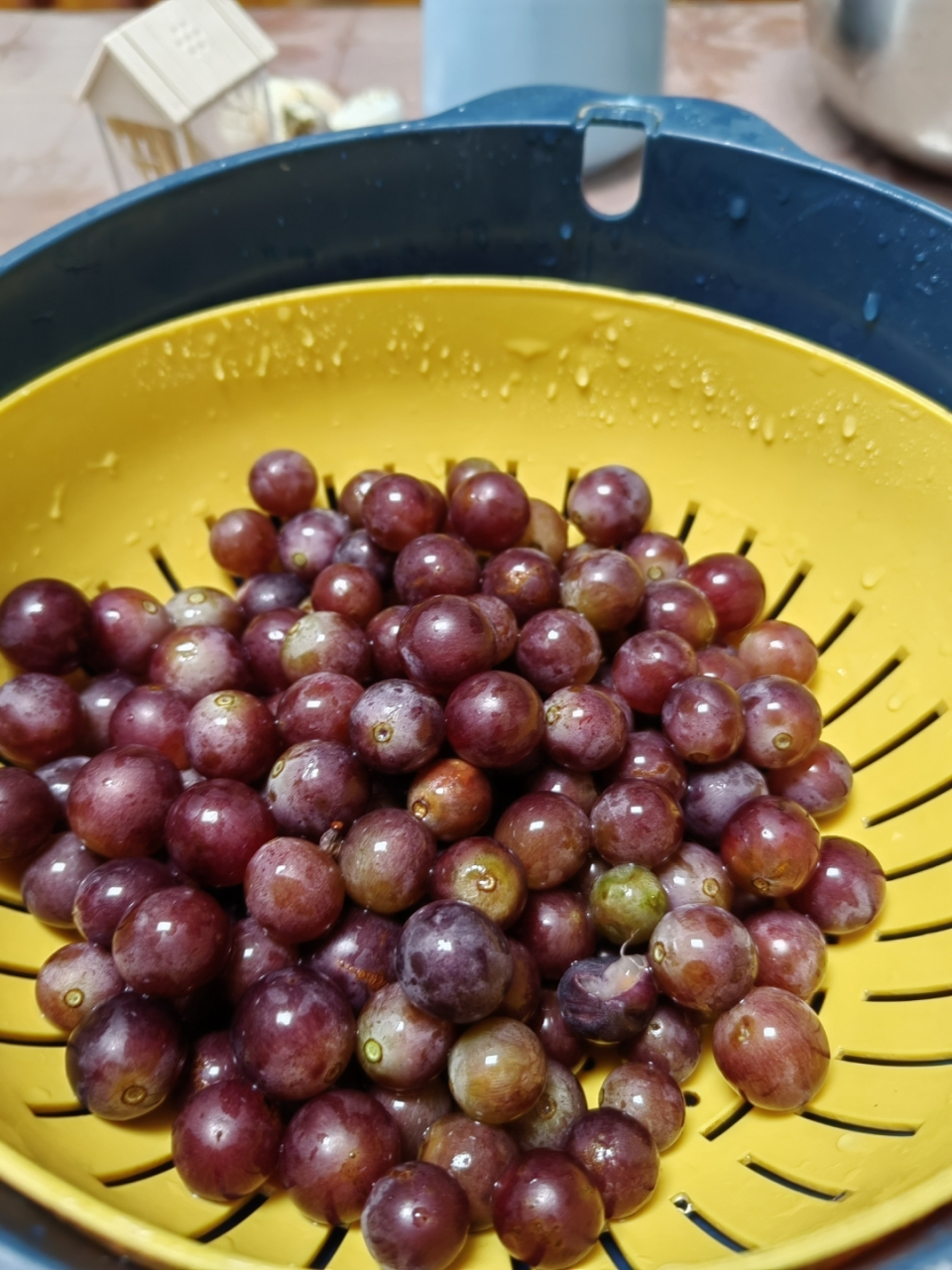 5 今年这阳台上的葡萄, 这是彻底凉菜了, 可酸可酸, 粒子也没长起来不