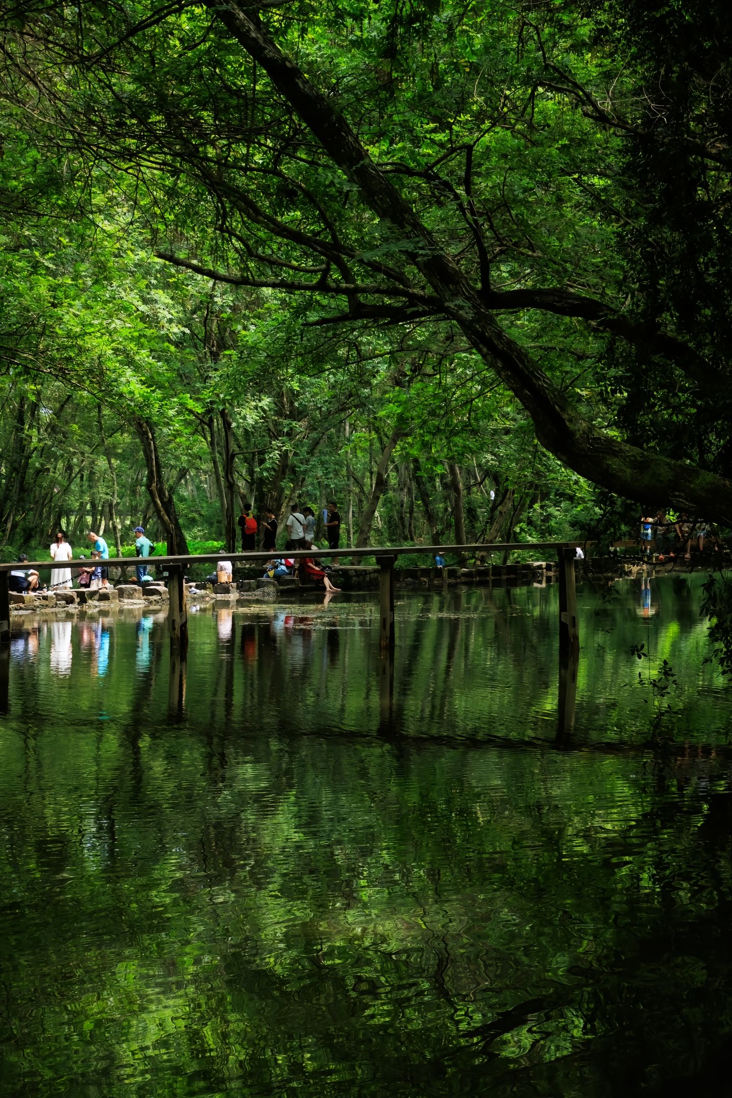 黄山西溪南湿地公园图片