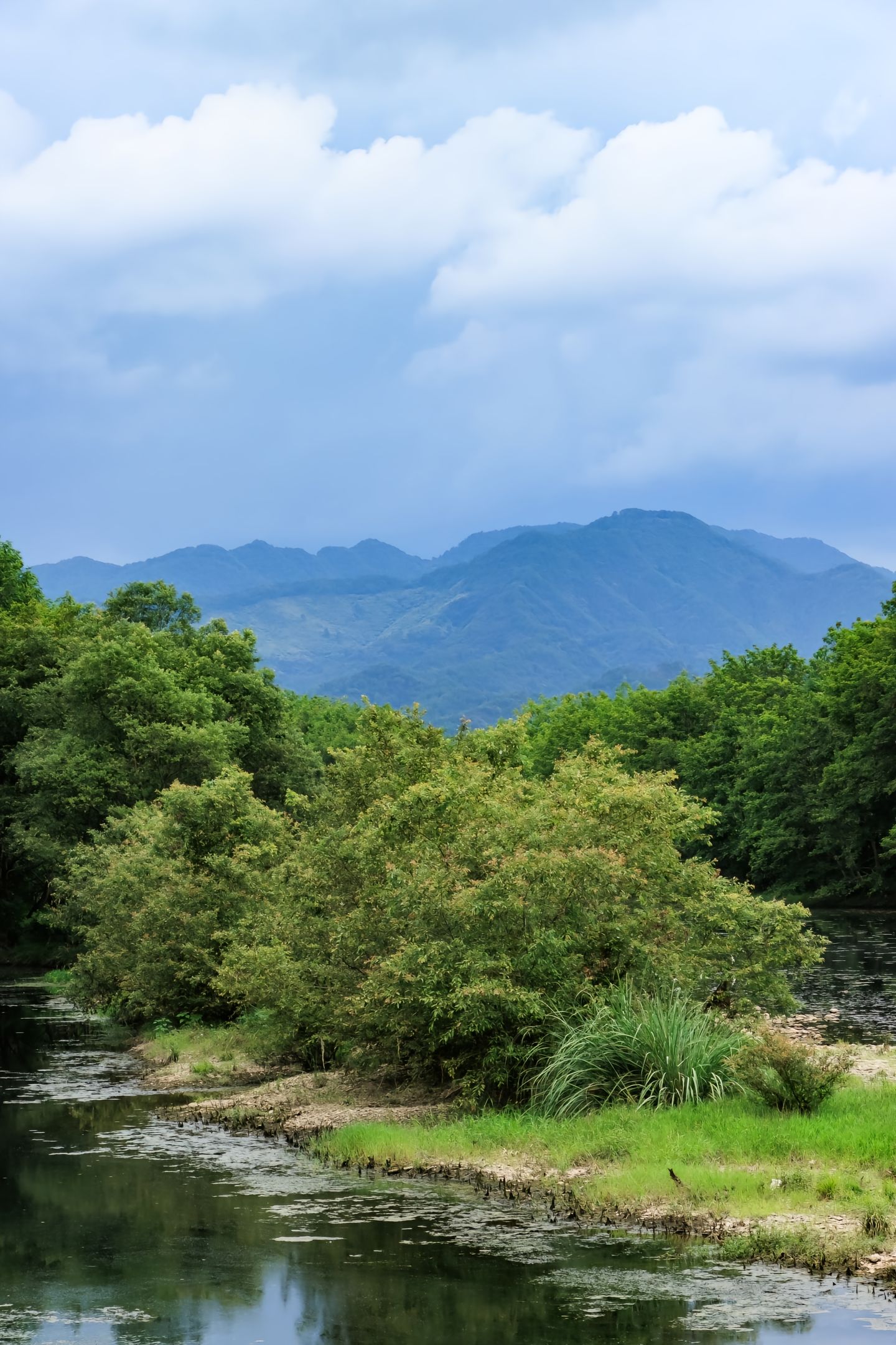 黄山西溪南湿地公园图片