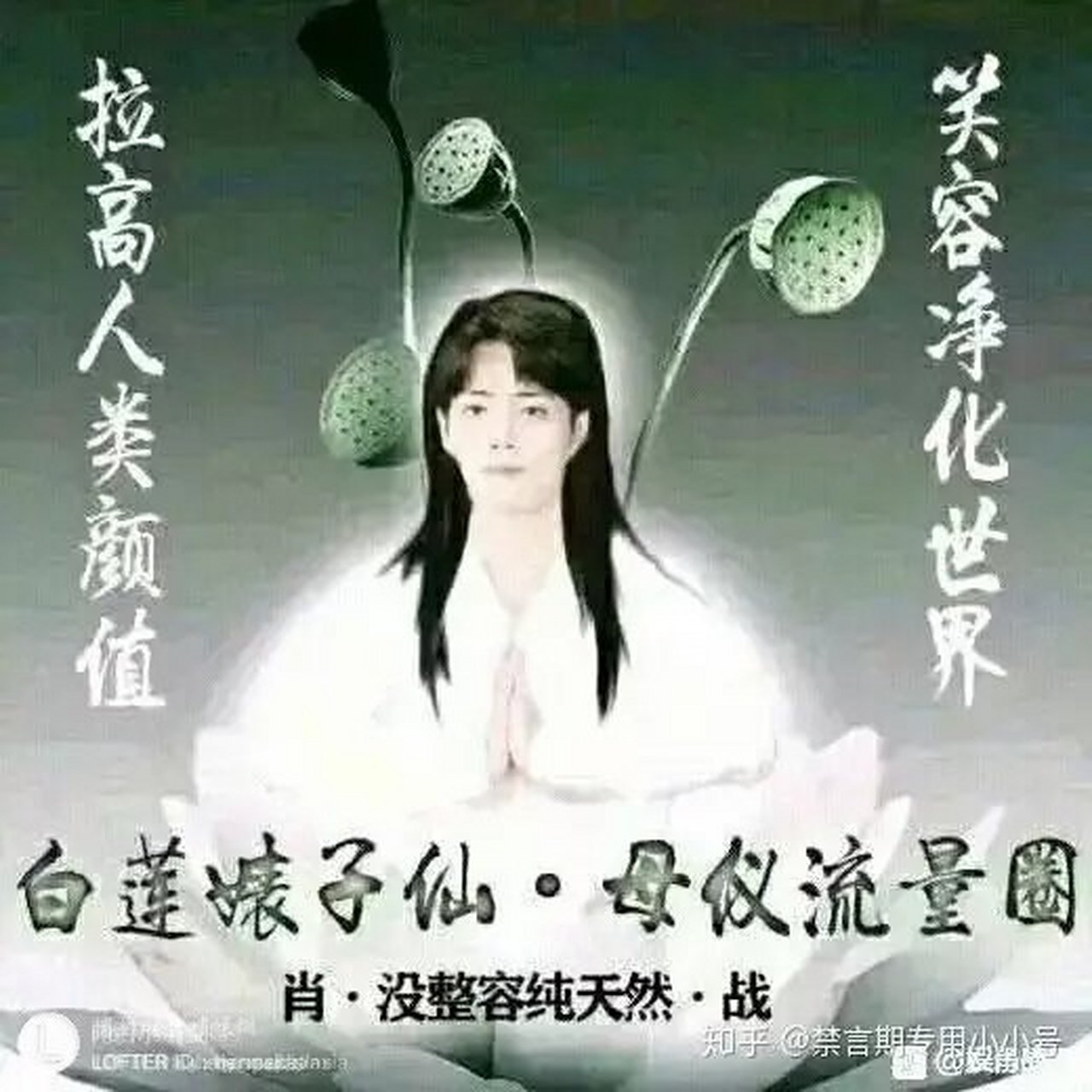 盛世白莲教教主 笑容净化世界 饭圈之光