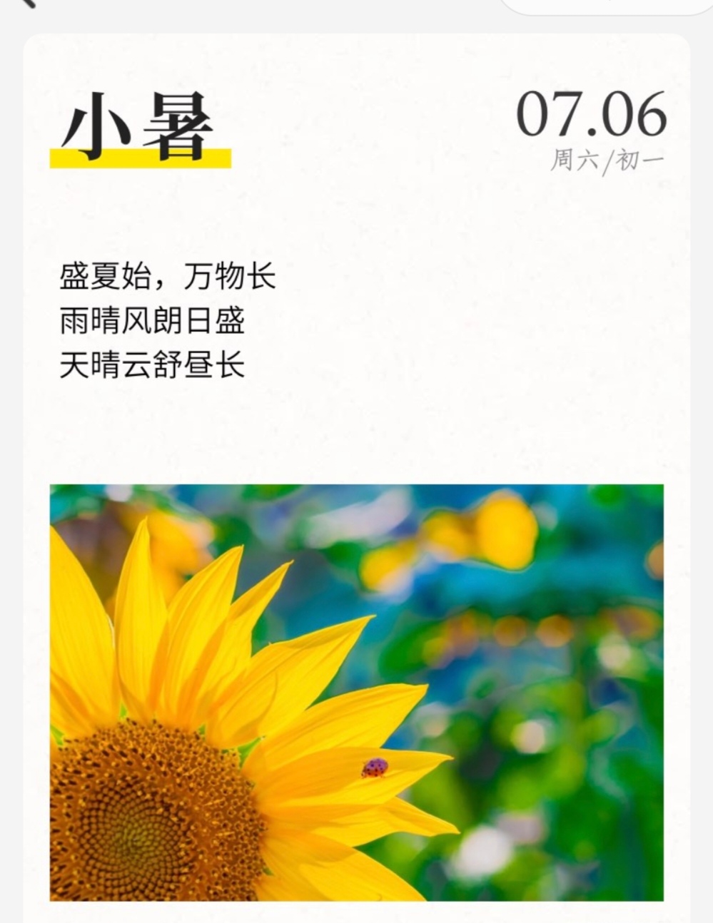 阳光正好, 微风不燥, 生活明朗, 万物可爱.