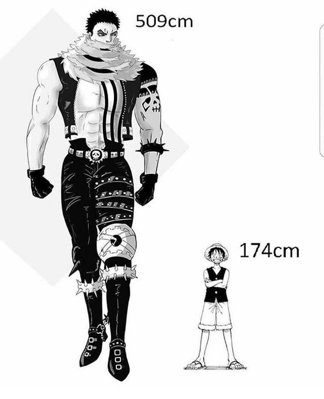 身高的差距#海贼王索隆和之国身世之谜