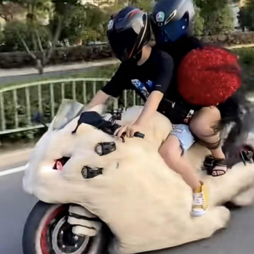 共乘一骑,毛绒玩具熊成趣,这份独特创意,让生活添色不少.