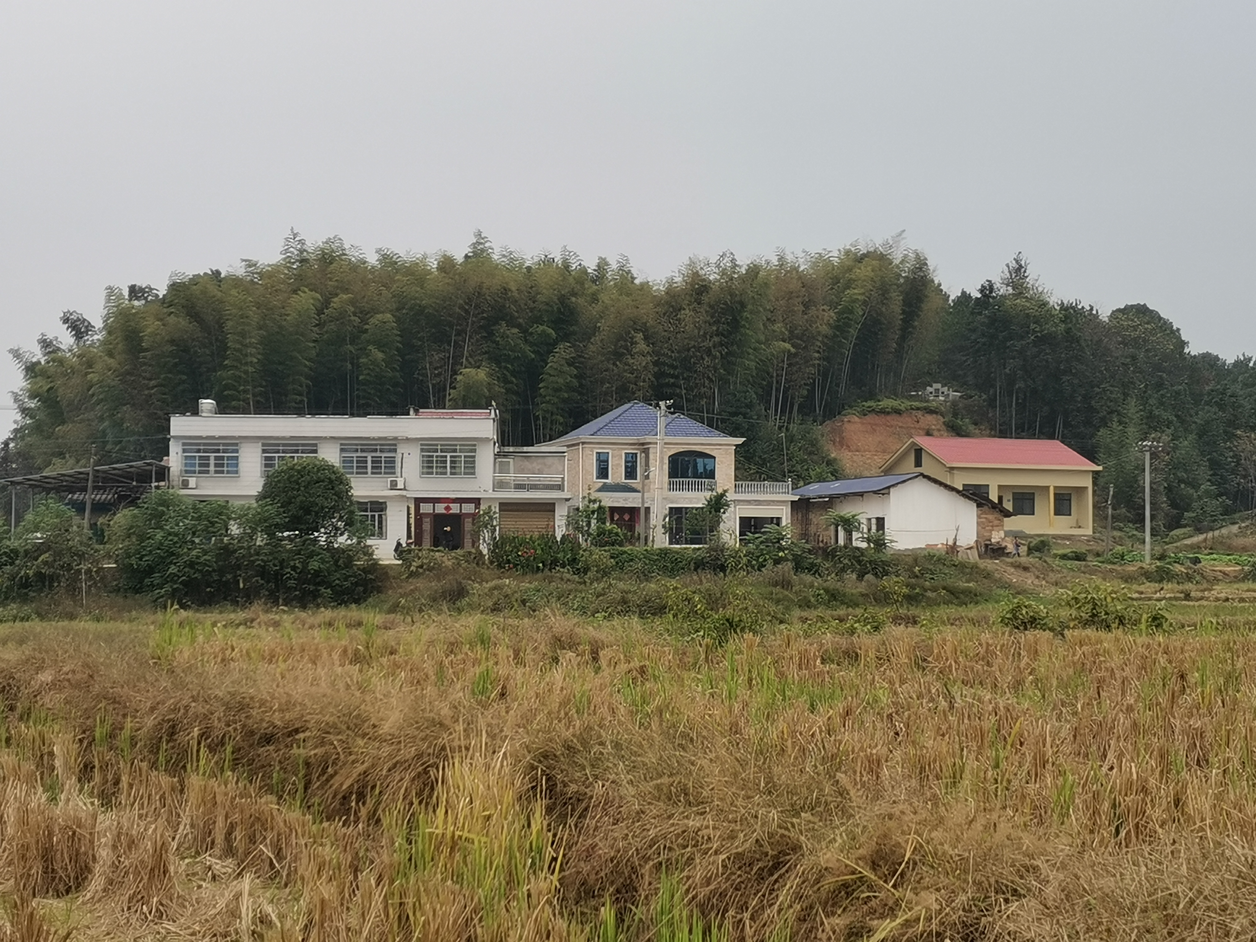 这片乡村风光,白蓝相间的楼房旁,红顶小屋静静立.