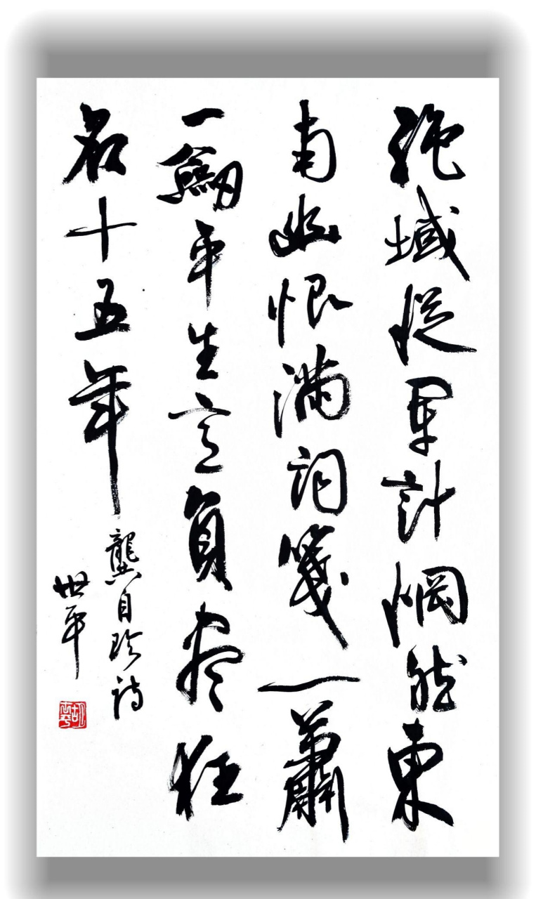 胡世平书法,漂亮