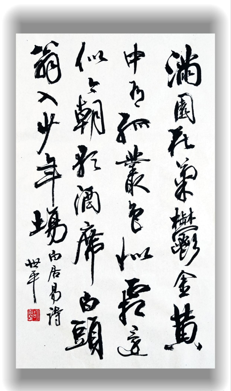 胡世平书法,漂亮