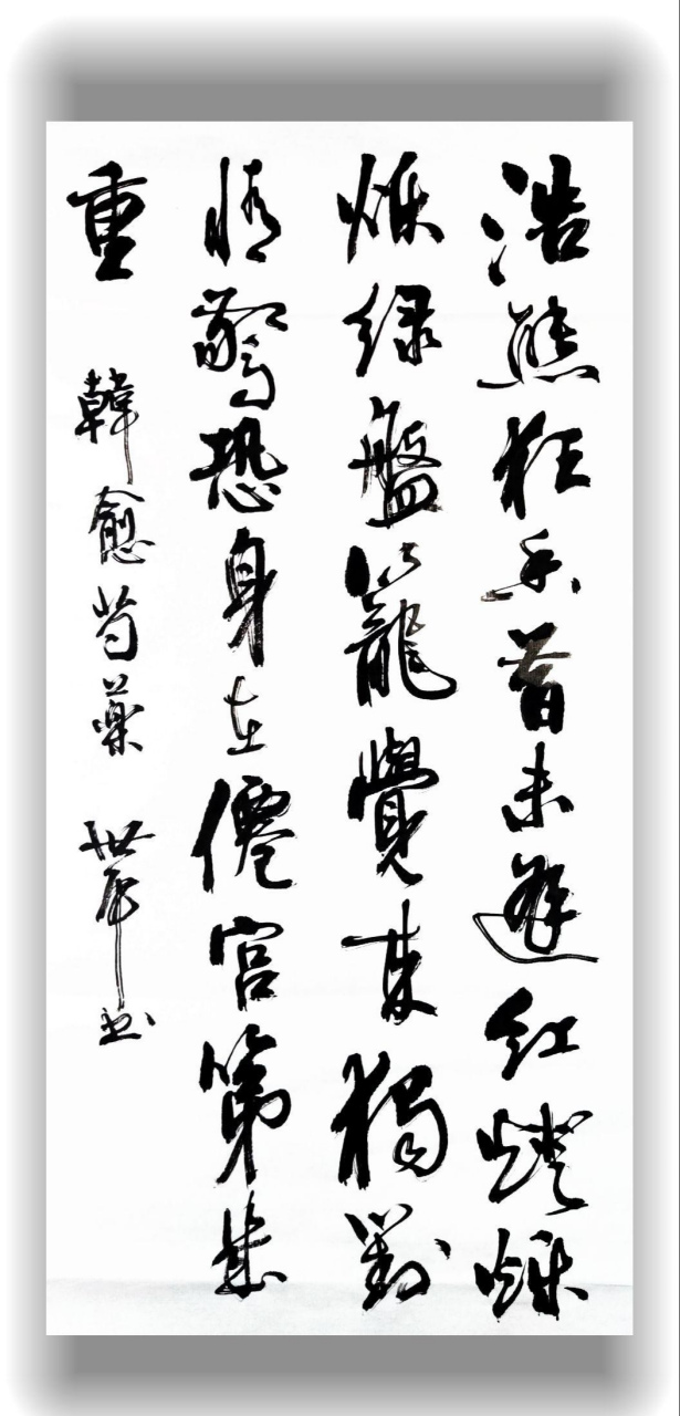 胡世平书法,漂亮