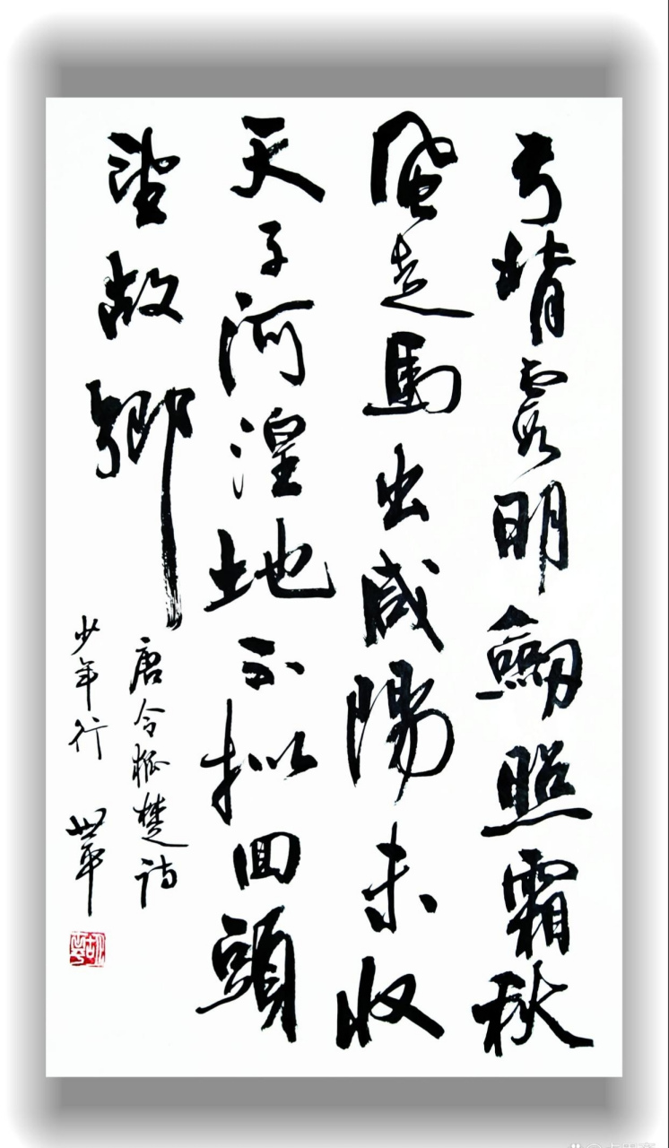 胡世平书法,漂亮