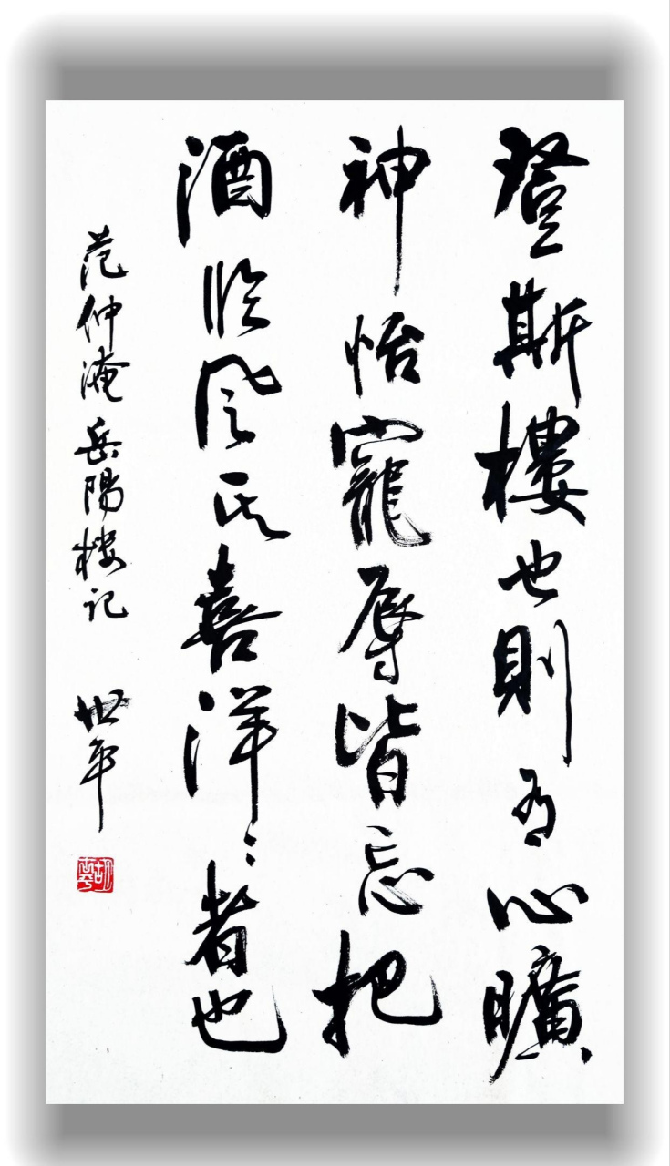 胡世平书法,漂亮