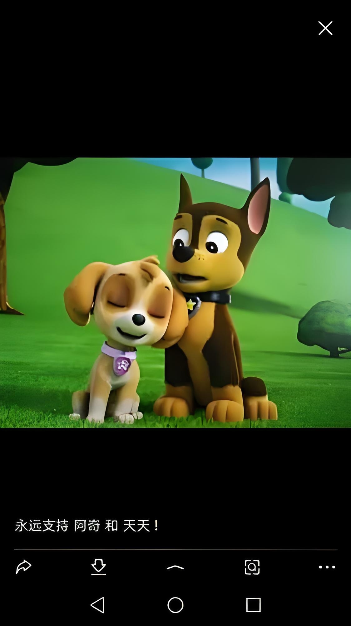 永远支持阿奇和天天