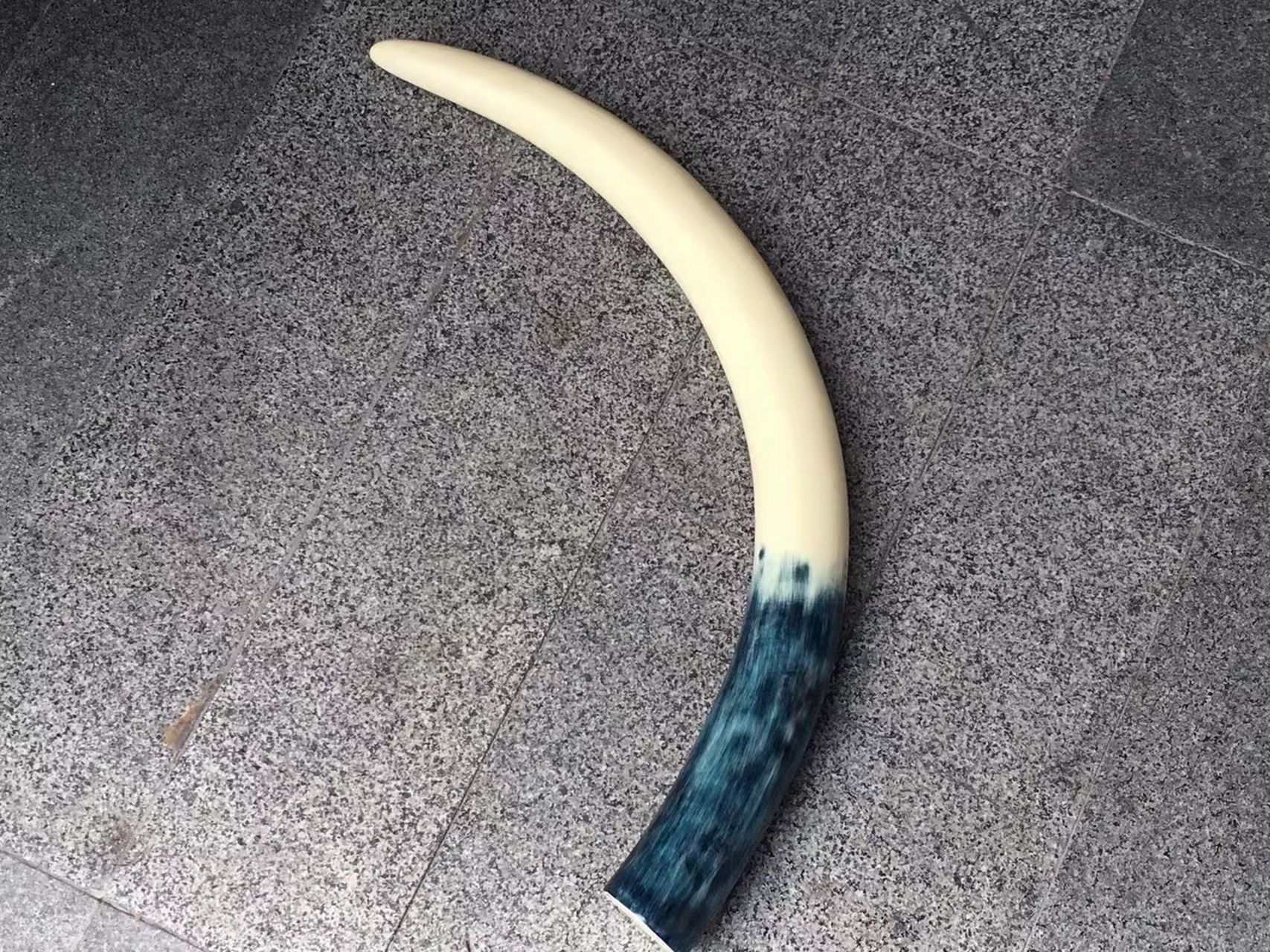 猛犸象牙蓝皮剥皮牙尖摆件 牙形优美 料质温润有质感 头大尾细 摆放