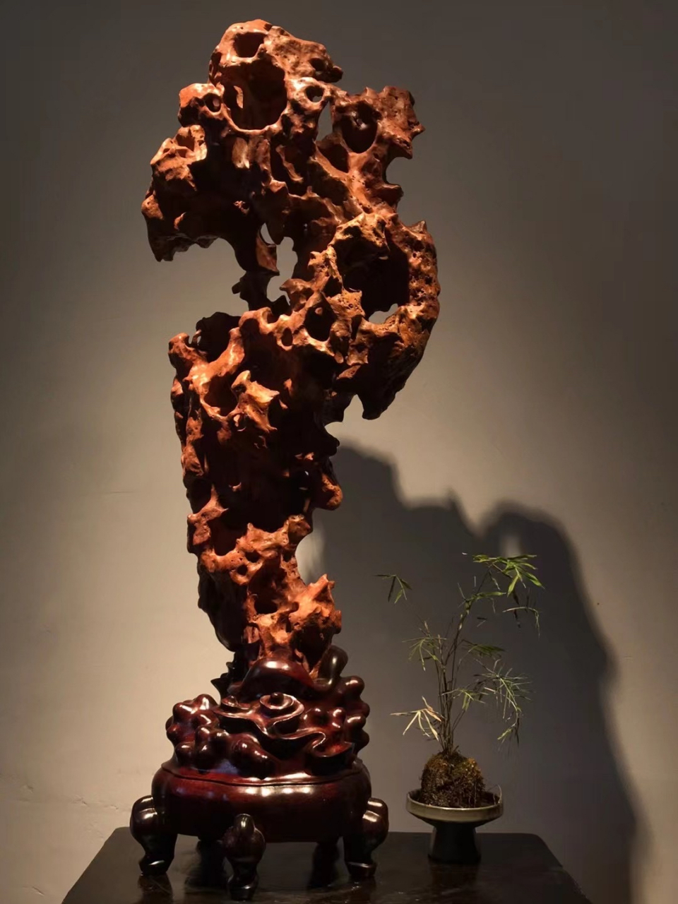 红太湖石 宋杜绾《云林石谱》云太湖石"一种色白,一种色青,一种微青"