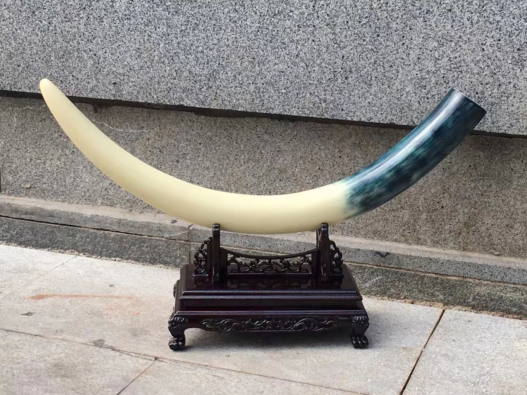 猛犸象牙蓝皮剥皮牙尖摆件 牙形优美 料质温润有质感 头大尾细 摆放