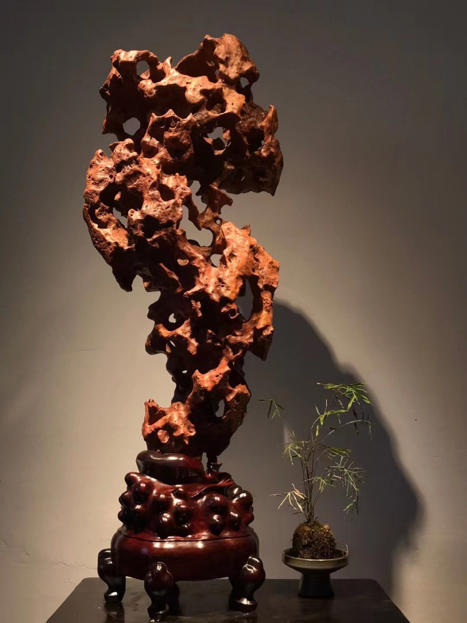 红太湖石 宋杜绾《云林石谱》云太湖石"一种色白,一种色青,一种微青"