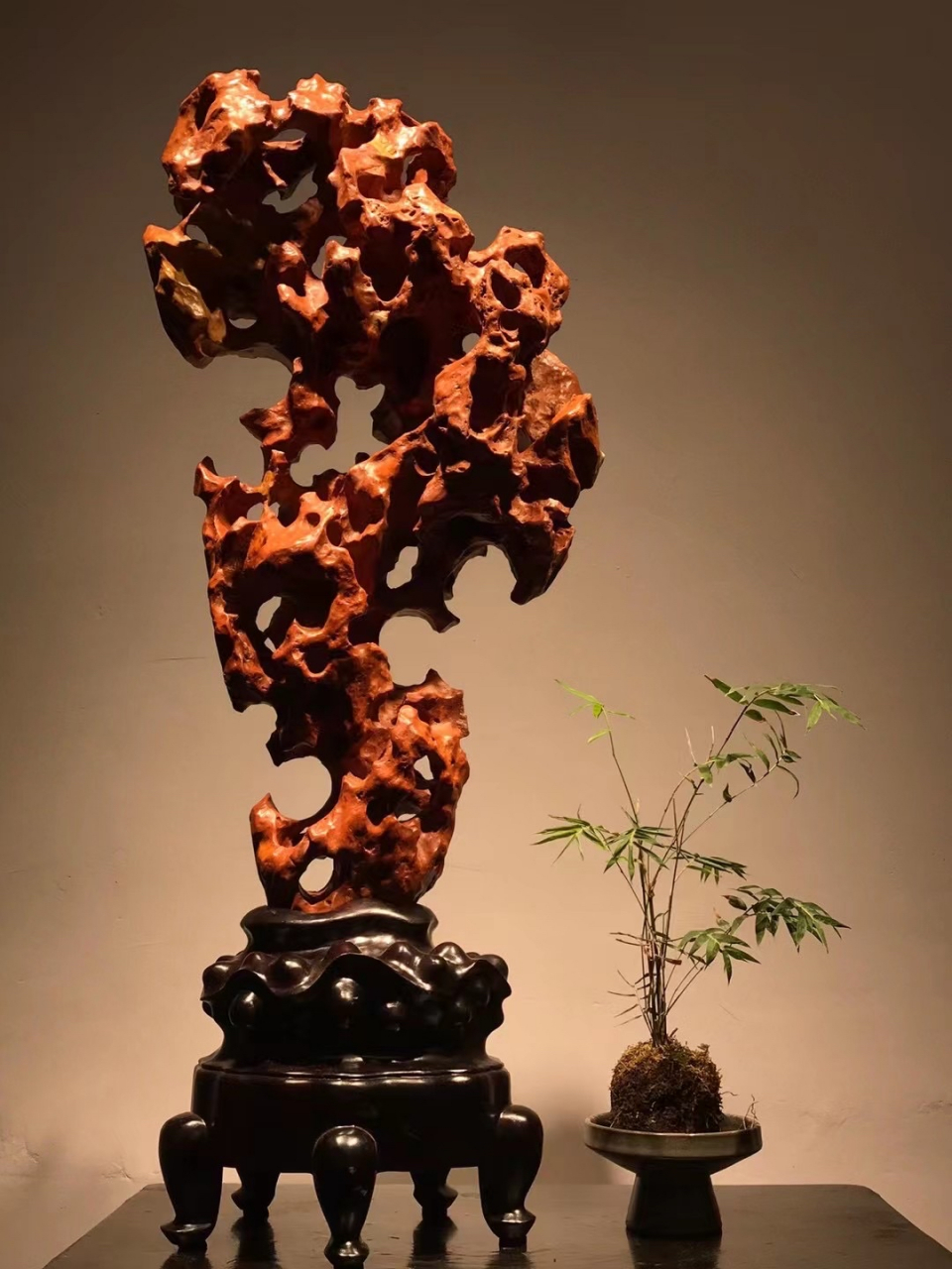秀色玲珑红太湖石  宋杜绾《云林石谱》云太湖石"一种色白,一种色青