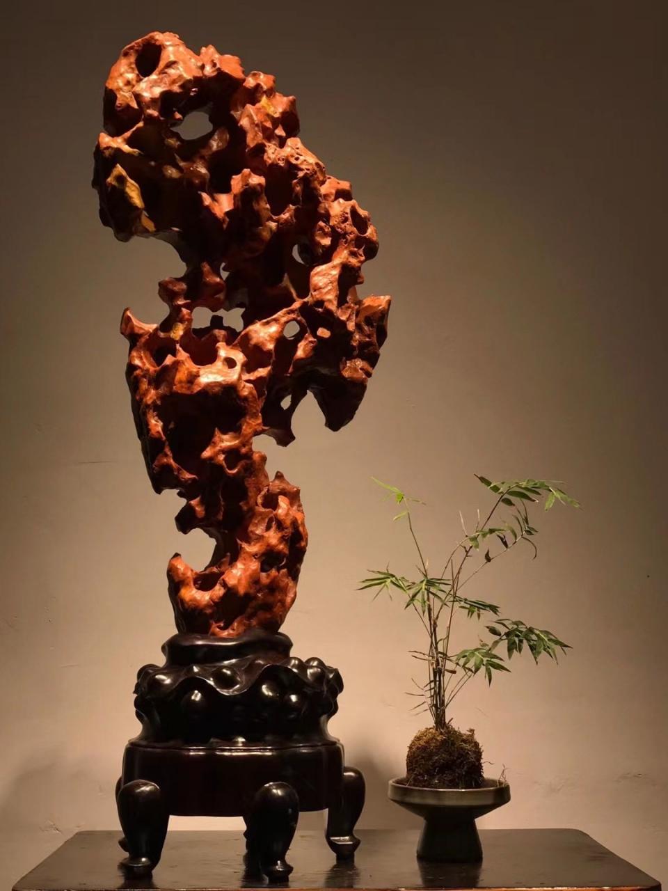 秀色玲珑红太湖石  宋杜绾《云林石谱》云太湖石"一种色白,一种色青