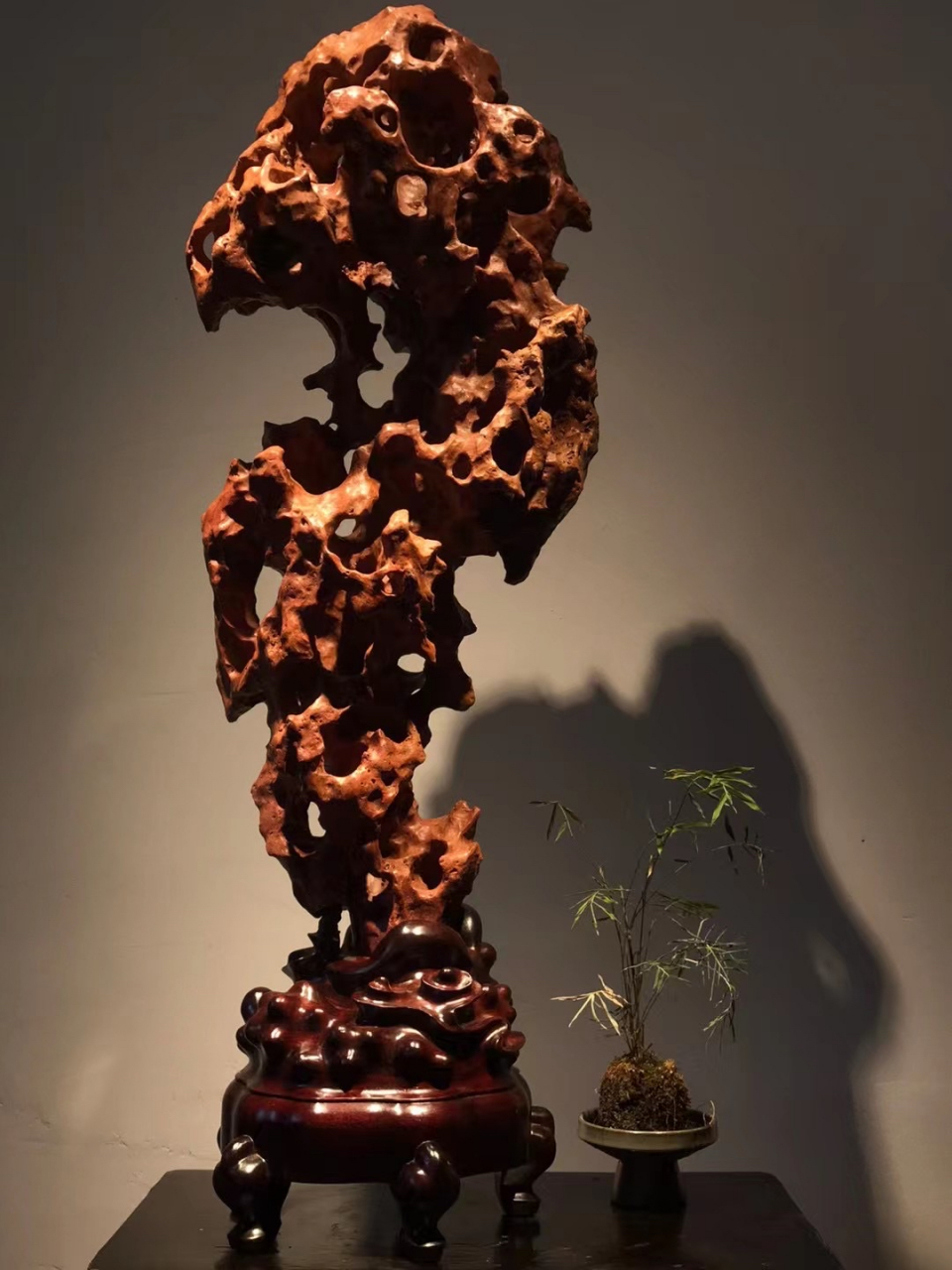 红太湖石 宋杜绾《云林石谱》云太湖石"一种色白,一种色青,一种微青"