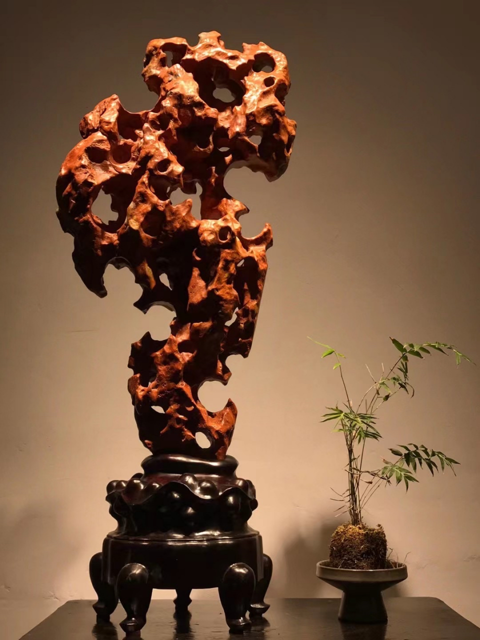 秀色玲珑红太湖石  宋杜绾《云林石谱》云太湖石"一种色白,一种色青