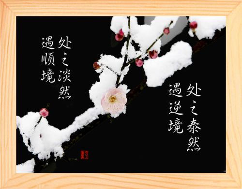 顺境时,不骄不躁,保持平常心;逆境时,不卑不亢,泰然自若.