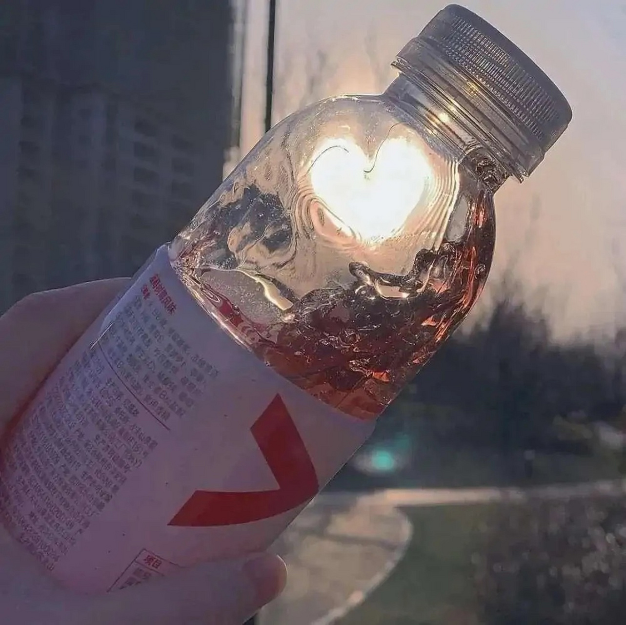 飞丞大旗举高高