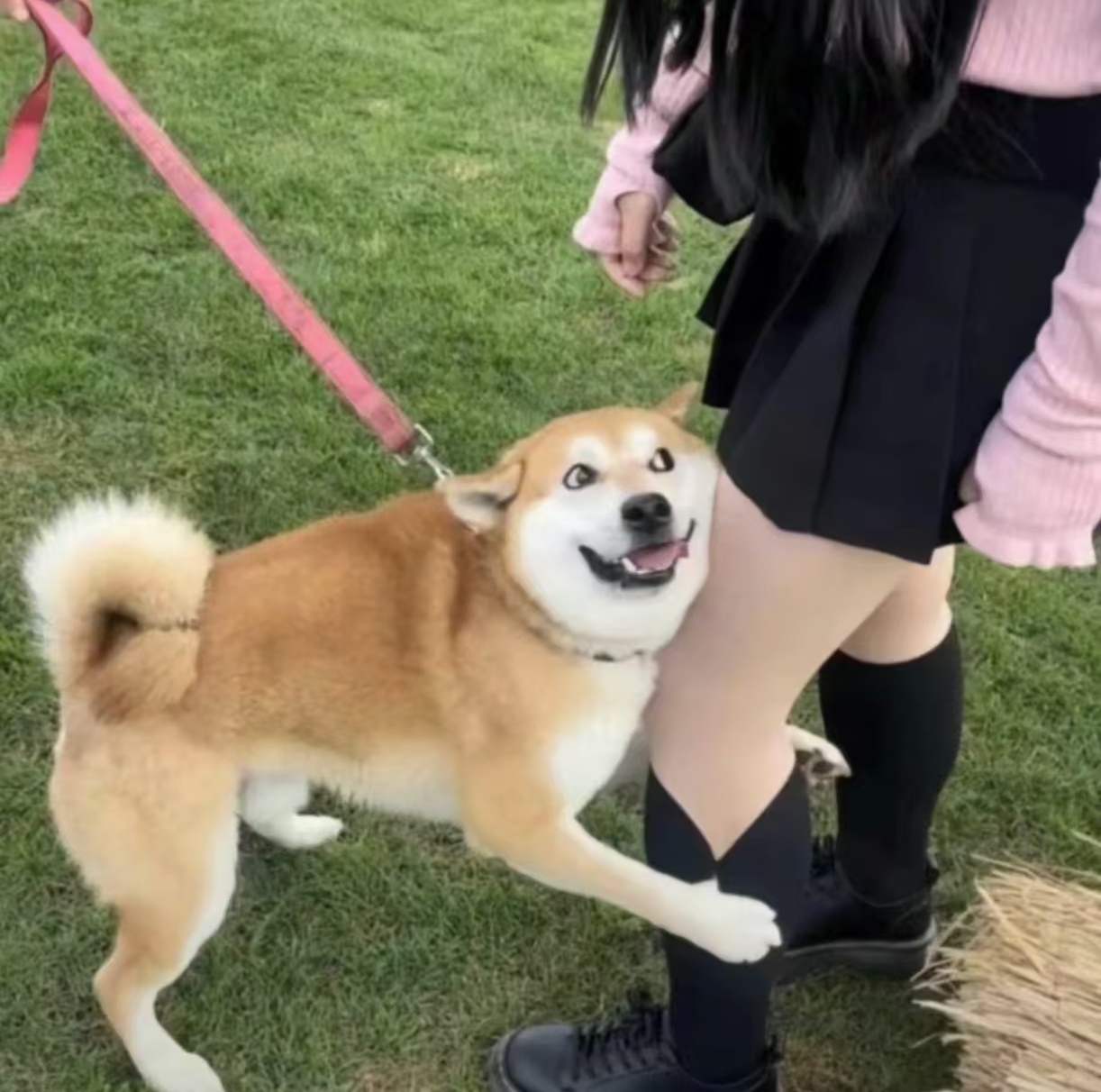 好像在说:"看我眼光多好,大腿抱住什么都有