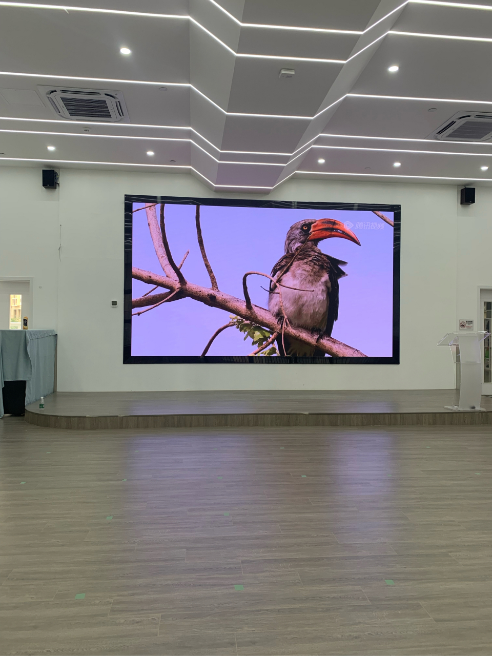 光明幼儿园  会议室led屏#室内会议led显示屏# #会议大屏# #会议室led