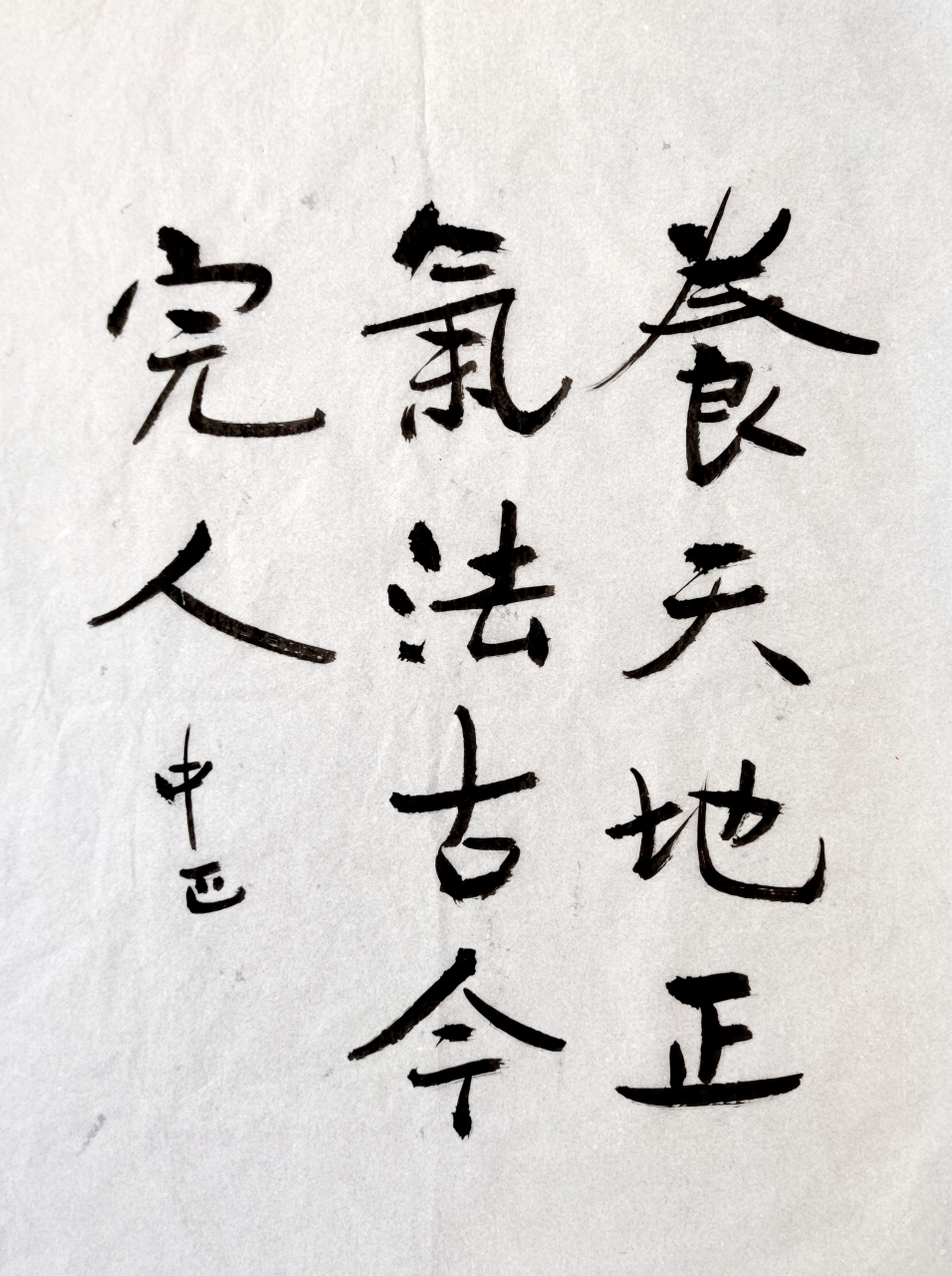 养天地正气,法古今完人