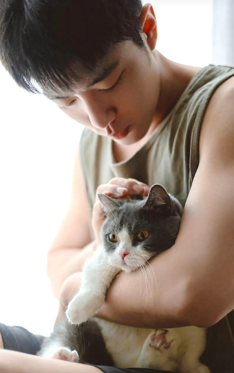 这个样子的肖战也太温柔了吧,我想会有好多人羡慕嫉妒肖战怀抱里的那