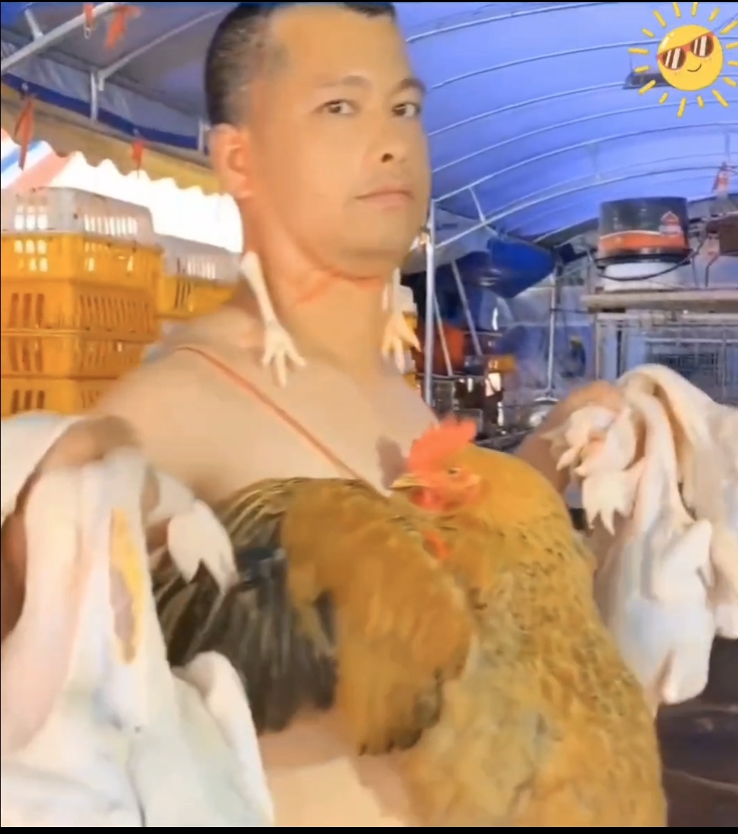 养殖场的鸡卖不出去,老板亲自直播带货半小时,创新模特步直接搞笑爆单