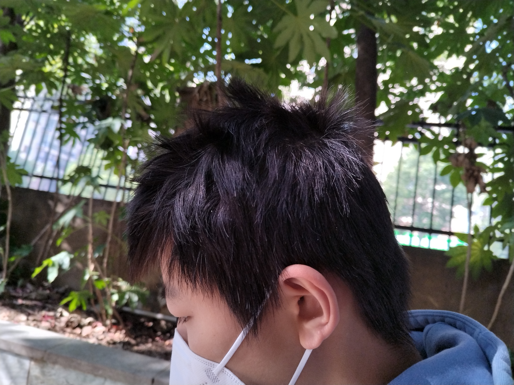 鸡窝发型,不肯剪,自认为很帅[左捂脸]