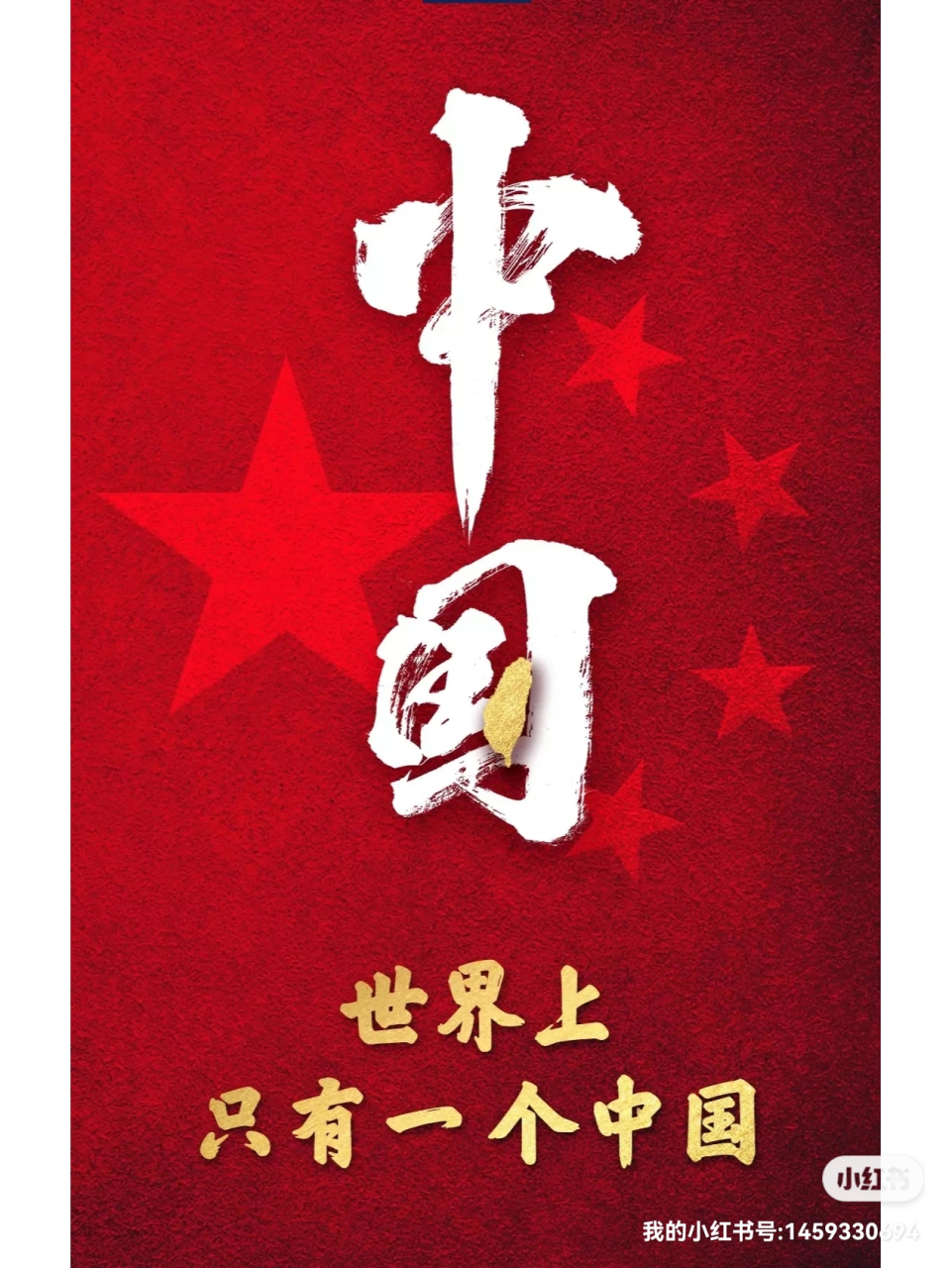 世界上只有一个中国,支持祖国统一,中华民族伟大复兴,中医药服务全