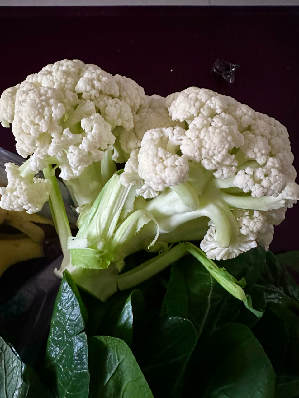 早上遛弯带买菜 菜花1.3元,菜芯和苋菜一共3元,香蕉5元.