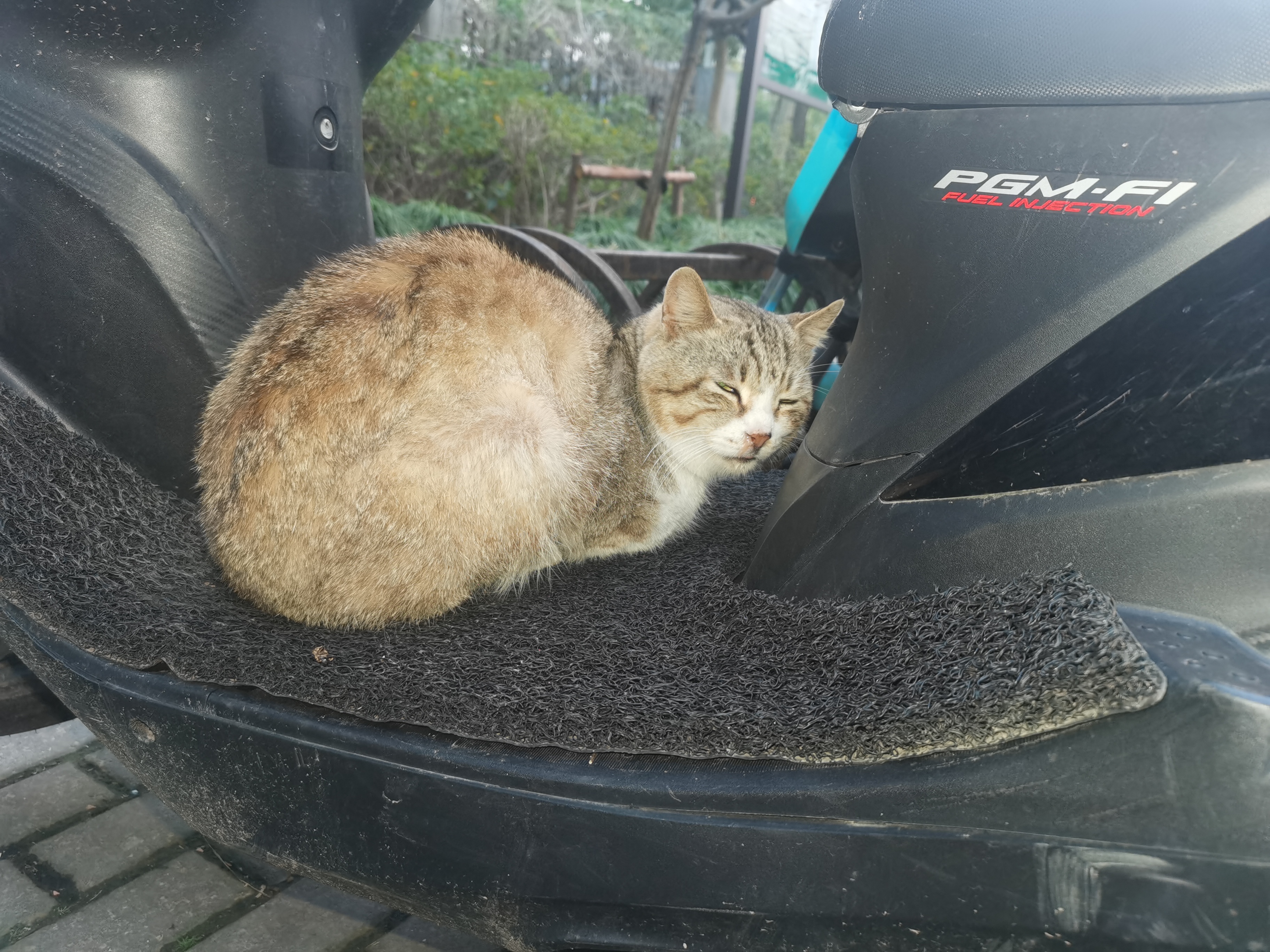 猫咪# 这蔑视的小眼神[哼]#萌宠搞笑合集# #一起来吸猫