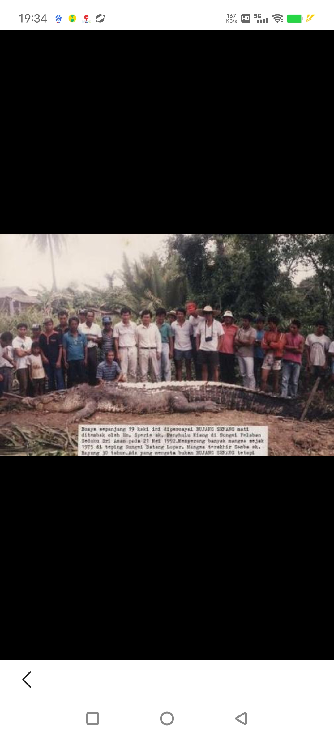 (1个爱好广泛的动态)婆罗洲白背食人鳄布江塞南,身长5.