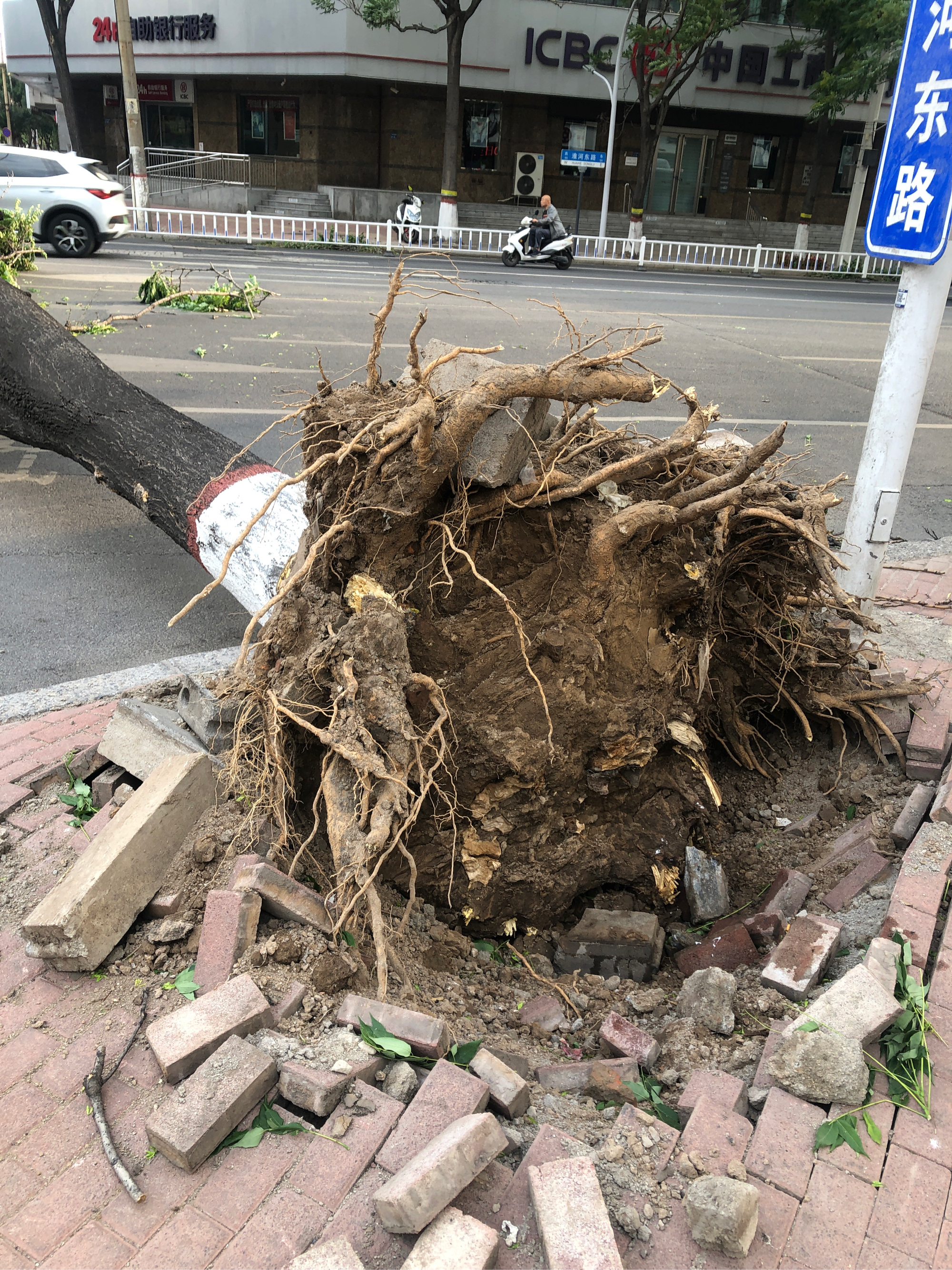 一阵妖风图片图片