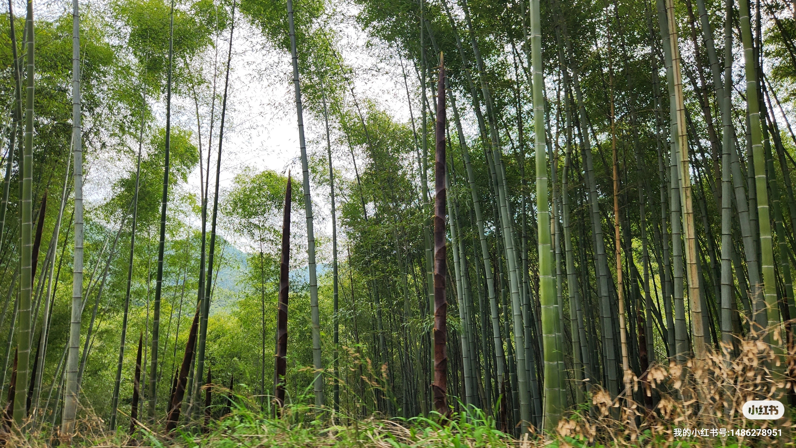 山山水水几万重~梅山水库一日游
