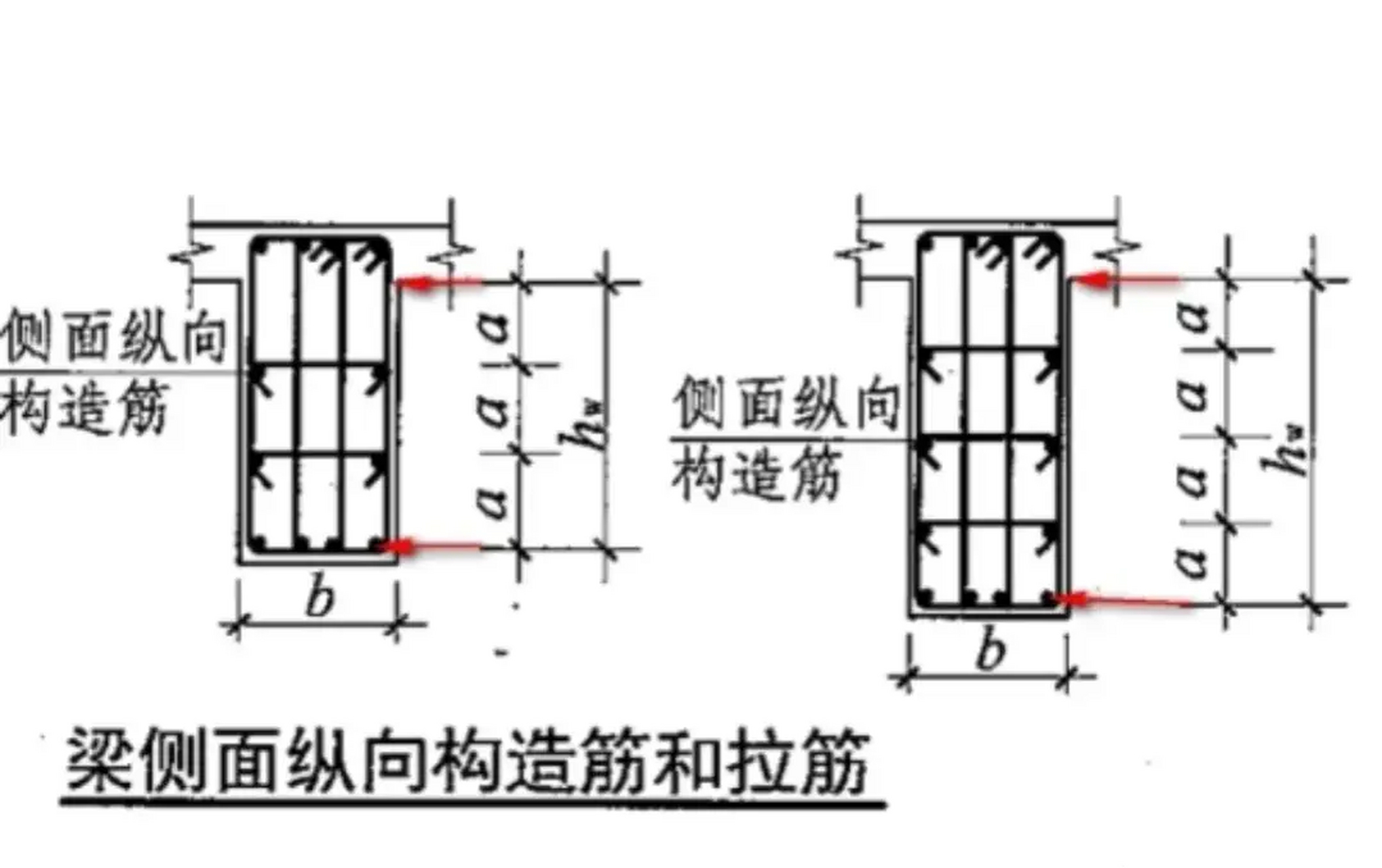 当梁的模板高度≮450mm时,在梁的两个侧面应该沿高度配置纵向构造钢筋