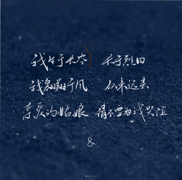 宋声声,生日快乐!^o