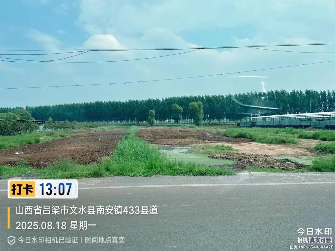 山西文水县南安镇养殖场污染问题村民反映多日仍无改善!